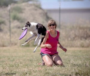 Billings K9 Coaching Disc Photo Photo of Dog Agility